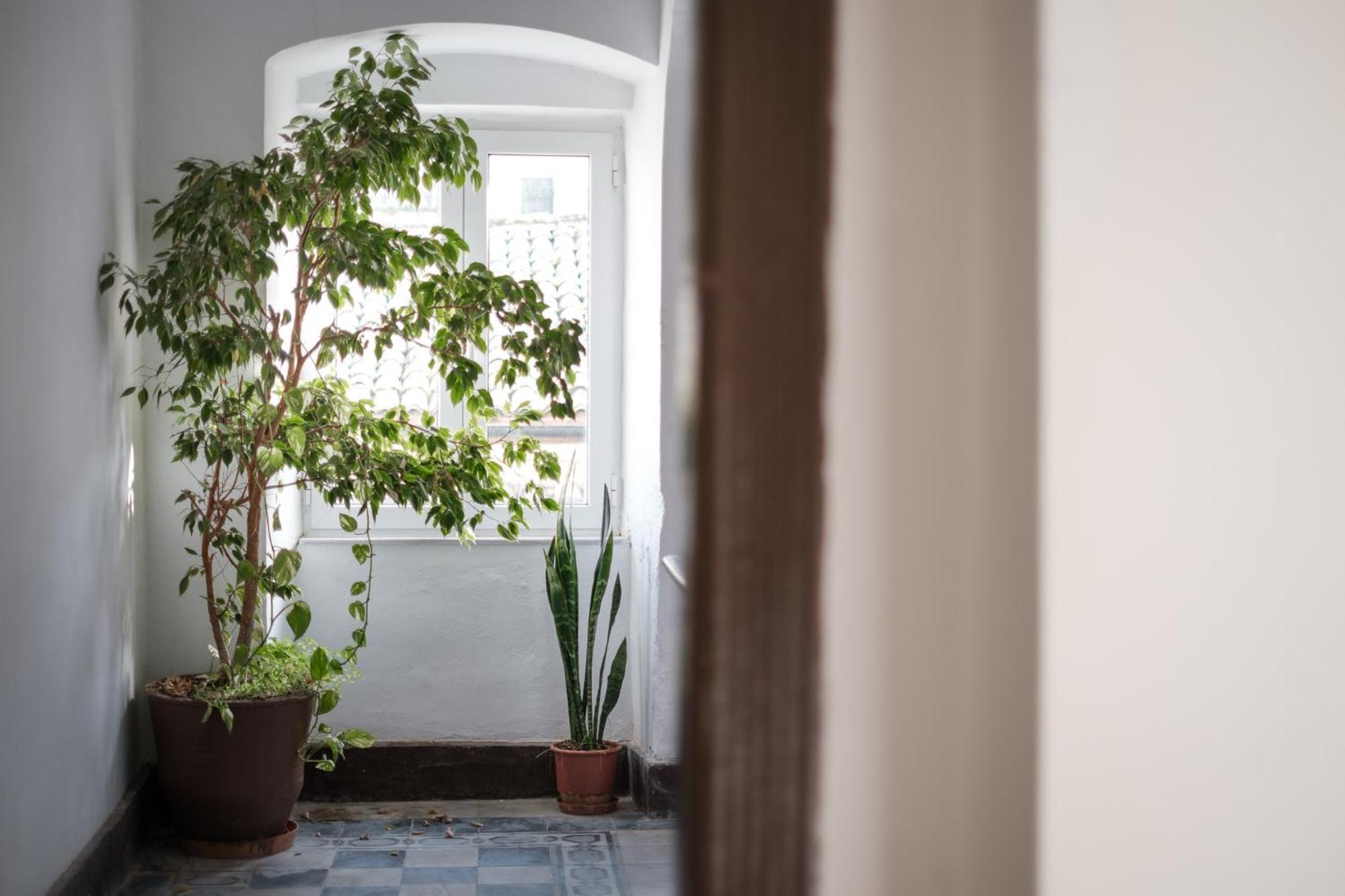 Apartament Crystal